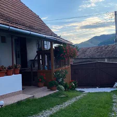 Pensjonat Casa Kelemen Iren Rimetea